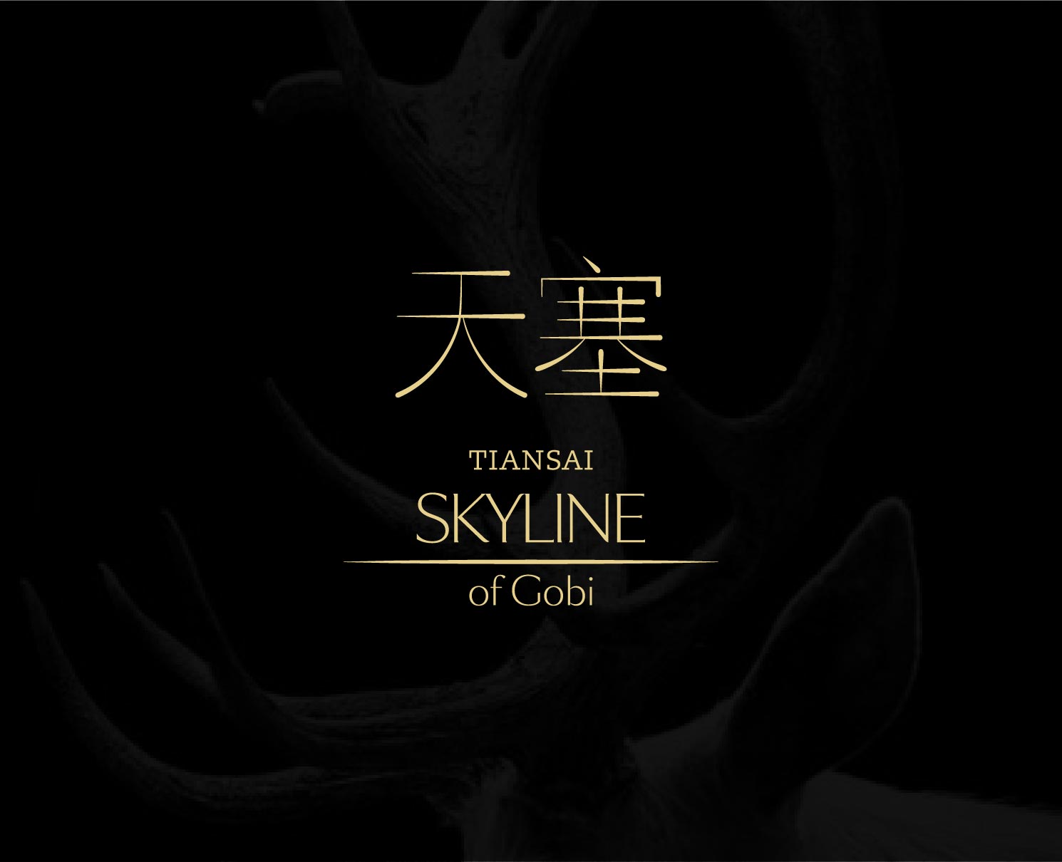 天塞 · 庄主珍藏款